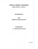 INFORME MENSUAL HOSPITAL GENERAL TENANCINGO