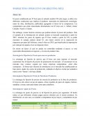 MARKETING OPERATIVO (MARKETING MIX)