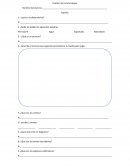 Exámen del cuarto bloque