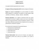 Registros Electricos