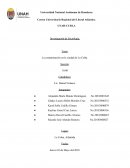 Contaminación en la ciudad de La Ceiba