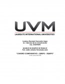 CUADRO COMPARATIVO GRUPO - EQUIPO