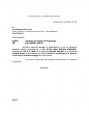 Constancia de practicas - ejemplar