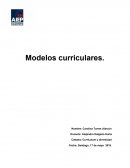 Cátedra: Currículum y diversidad