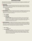 Descripciones de cargos marielalala.