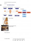 Théorie de l’information et la communication