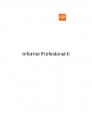 Practica Informe Profesional II