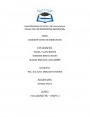 SEGMENTACION DE MERCADOS