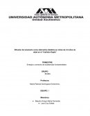 Difusión del amaranto como alternativa dietética en niños de 3-5 años de edad en el “Instituto Kapta”