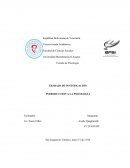 TRABAJO DE INVESTIGACIÓN INTRODUCCIÓN A LA PSICOLOGÍA