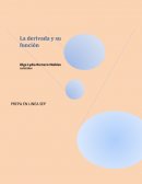 Prepa en linea modulo laderivada y su funcion