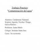 Trabajo Practico: "Contaminación del agua"