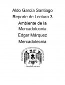 Reporte de Lectura Ambiente de la Mercadotecnia