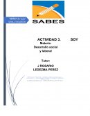 Actividad 5 desarrllo social