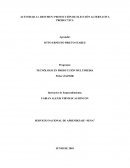 RESUMEN: PROYECCIÓN DE ELECCIÓN ALTERNATIVA PRODUCTIVA