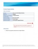 Formato Integral definida