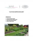 CULTIVO DE HUERTOS ESCOLARES