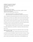 INFORME DE ANALISIS DE VERSIONES