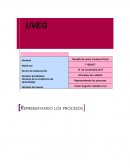 Representando los procesos de calidad