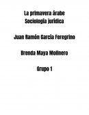 La primavera árabe - Sociología jurídica