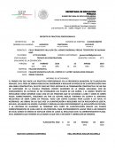 REPORTE DE PRACTICAS PROFESIONALES CONSTRUCCION