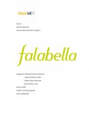 Proceso administrativo areas funcionales