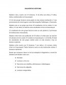 PLAN DE AULA SEPTIMO 2017