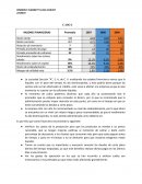 Capitulo preguntas RAZONES FINANCIERAS