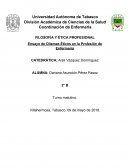 Ensayo de Dilemas Éticos en la Profesión de Enfermería