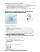 EXAMEN NIÑO TUTORIA