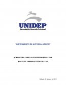 INSTRUMENTO DE AUTOEVALUACION