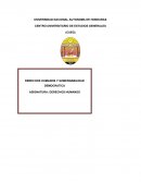 Gobernabilidad democrática y DDHH