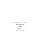 Proyecto final auditoria financiera