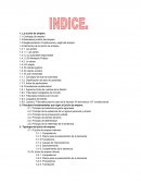 LA ACCION DEL AMPARO