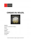 Caso circo du soleil
