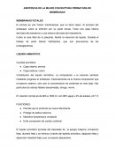 ASISTENCIA DE LA MUJER CON RUPTURA PREMATURA DE MEMBRANAS