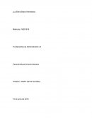 Identifica y explica cada uno de los roles de los cuatro gerentes que existen.