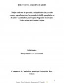 Mejoramiento de parcela y adquisición de ganado vacuno para fomentar la ganadería doble propósito en el sector Cambullón parroquia Maparari municipio Federación del Estado Falcón