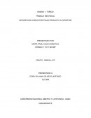 DESCRIPCION CARACTERISTICAS PRODUCTO A EXPORTAR
