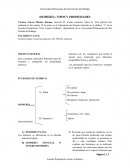 Reporte de quimica. ISOMERÍA: TIPOS Y PROPIEDADES