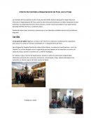Informe De Comisión al Departamento de Puno por la Friaje