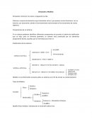 Simulación y Modelos Simulación: disminuir los costos y resguardar la vida