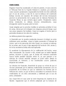 Análisis del Fallo Casal