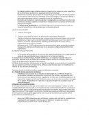 Mapas de racionalidad