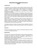 PREPARACIÓN DE ADN PLASMÍDICO DE Echerichia coli