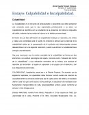 Ensayo: Culpabilidad e Inculpabilidad