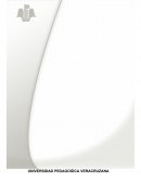 PLAN ESTRATÉGICO DE TRANSFORMACIÓN ESCOLAR (PETE)