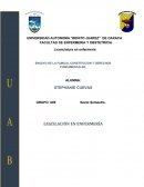 ENSAYO DE LA FAMILIA, CONSTITUCION Y DERECHOS FUNDAMENTALES