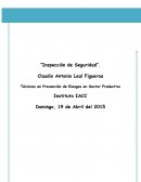 Inspeccion de seguridad. Técnicas en Prevención de Riesgos en Sector Productivo