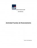 Actividad Fuentes de financiamiento